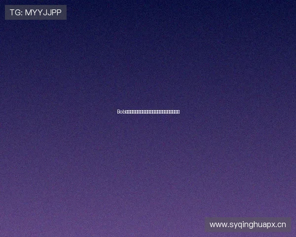 Bob手机版网页版全面解析：功能特点与使用技巧详解